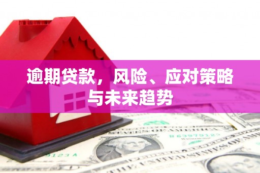 高要逾期贷款，风险、应对策略与未来趋势