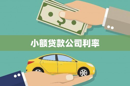 高要小额贷款公司利率