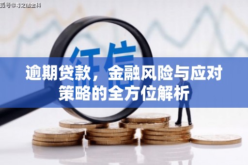 高要逾期贷款，金融风险与应对策略的全方位解析