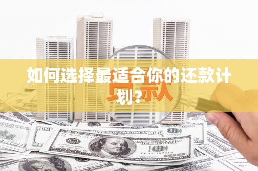 高要如何选择最适合你的还款计划？