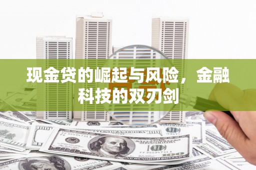 高要现金贷的崛起与风险，金融科技的双刃剑