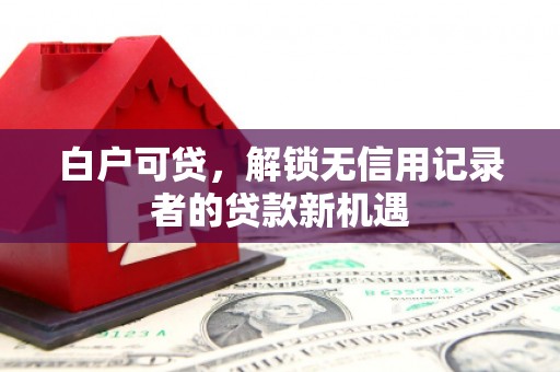 高要白户可贷，解锁无信用记录者的贷款新机遇