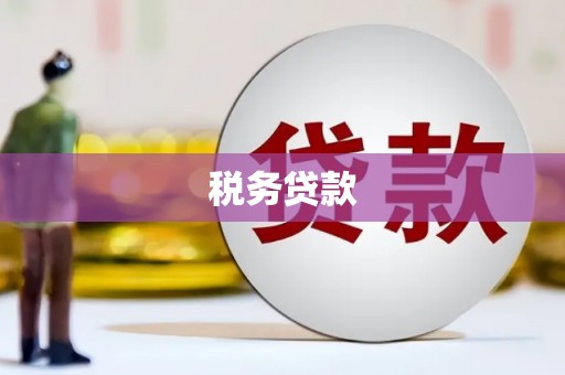 高要税务贷款
