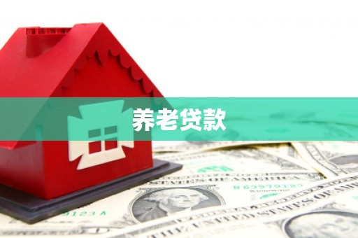 高要养老贷款
