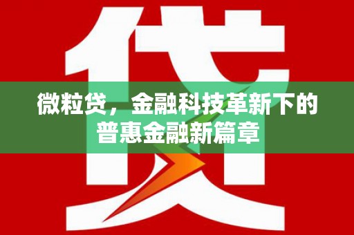 高要微粒贷，金融科技革新下的普惠金融新篇章