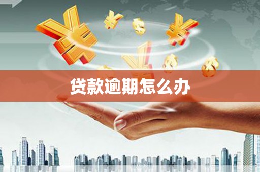 高要贷款逾期怎么办
