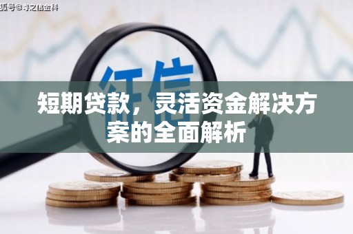 高要短期贷款，灵活资金解决方案的全面解析