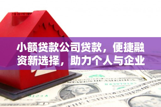 高要小额贷款公司贷款，便捷融资新选择，助力个人与企业成长