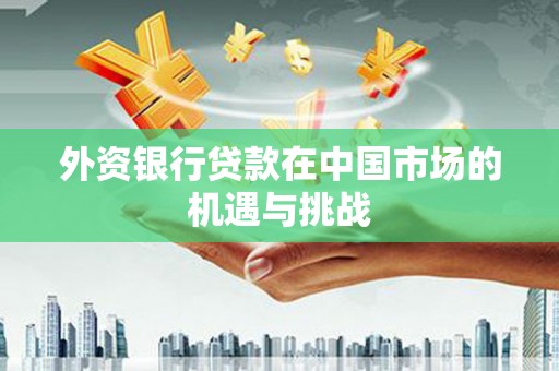 高要外资银行贷款在中国市场的机遇与挑战