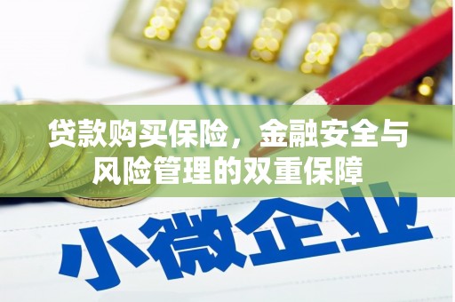 高要贷款购买保险，金融安全与风险管理的双重保障