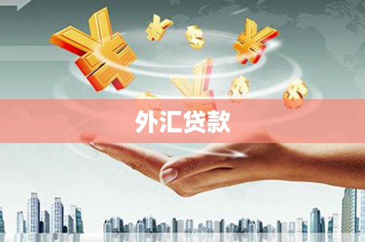 高要外汇贷款