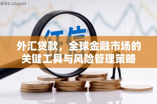 高要外汇贷款，全球金融市场的关键工具与风险管理策略