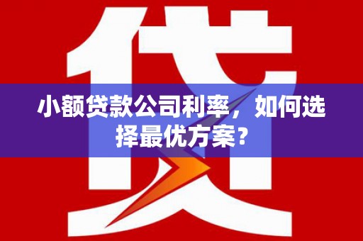 高要小额贷款公司利率，如何选择最优方案？