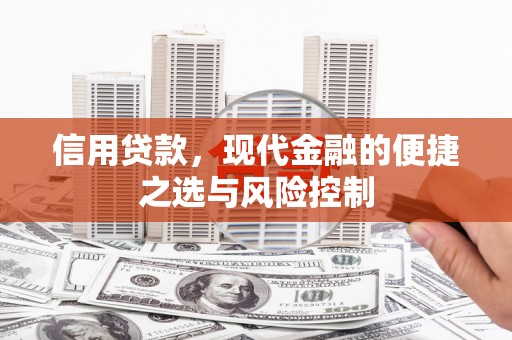高要信用贷款，现代金融的便捷之选与风险控制