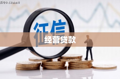 高要经营贷款