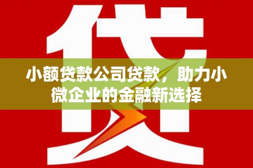 高要小额贷款公司贷款，助力小微企业的金融新选择