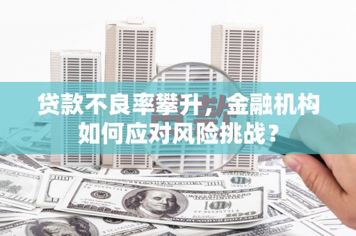 高要贷款不良率攀升，金融机构如何应对风险挑战？