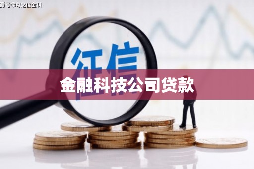 高要金融科技公司贷款