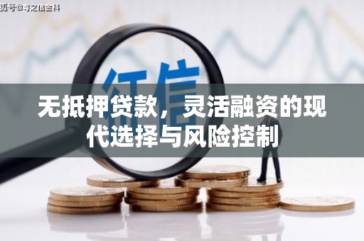 高要无抵押贷款，灵活融资的现代选择与风险控制