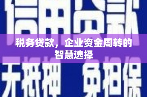 高要税务贷款，企业资金周转的智慧选择
