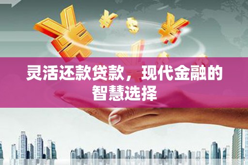 高要灵活还款贷款，现代金融的智慧选择