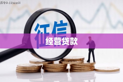 高要经营贷款