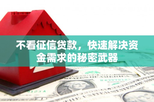 高要不看征信贷款，快速解决资金需求的秘密武器