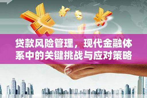 高要贷款风险管理，现代金融体系中的关键挑战与应对策略