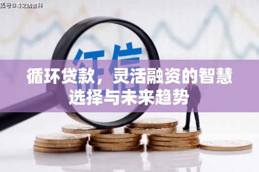 高要循环贷款，灵活融资的智慧选择与未来趋势