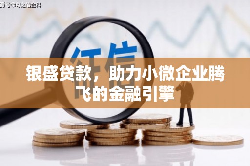 高要银盛贷款，助力小微企业腾飞的金融引擎