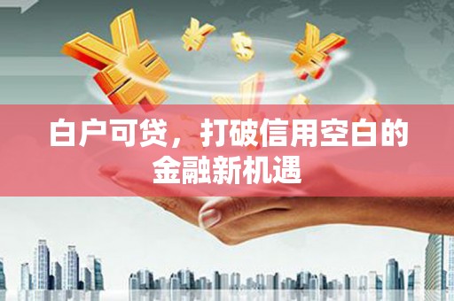 高要白户可贷，打破信用空白的金融新机遇