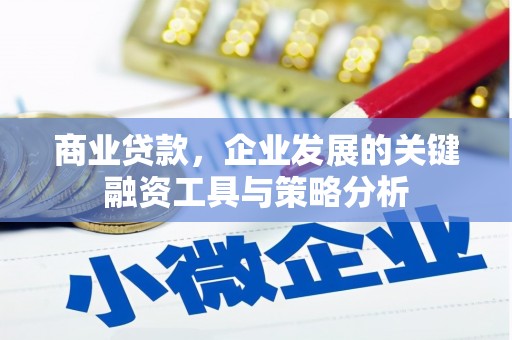 高要商业贷款，企业发展的关键融资工具与策略分析