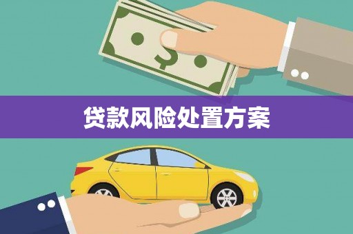高要贷款风险处置方案