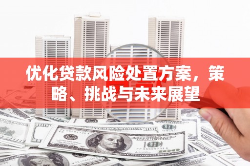 高要优化贷款风险处置方案，策略、挑战与未来展望
