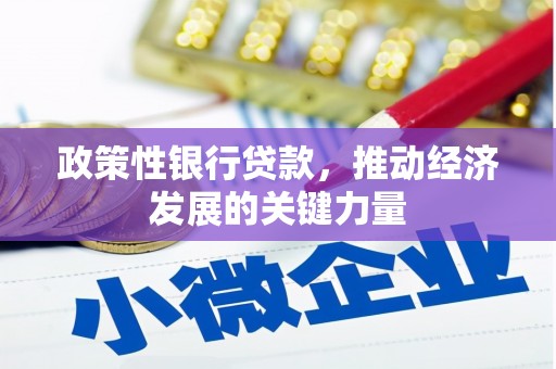 高要政策性银行贷款，推动经济发展的关键力量
