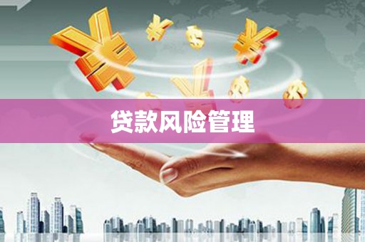 高要贷款风险管理