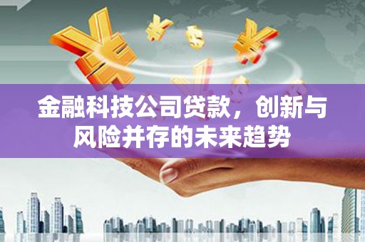 高要金融科技公司贷款，创新与风险并存的未来趋势