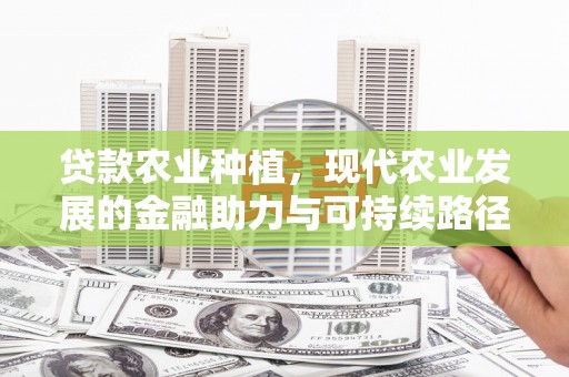 高要贷款农业种植，现代农业发展的金融助力与可持续路径