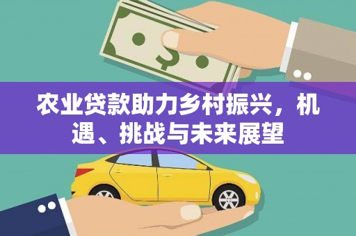 高要农业贷款助力乡村振兴，机遇、挑战与未来展望