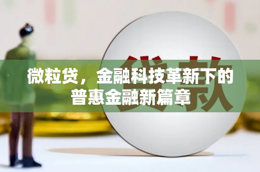 高要微粒贷，金融科技革新下的普惠金融新篇章