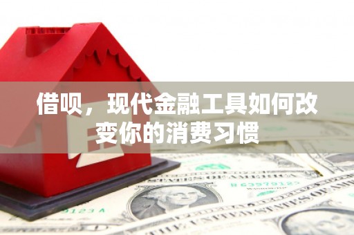 高要借呗，现代金融工具如何改变你的消费习惯