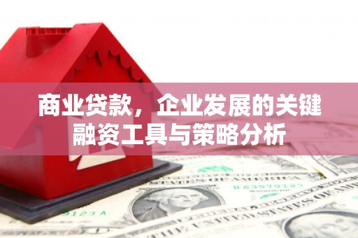 高要商业贷款，企业发展的关键融资工具与策略分析