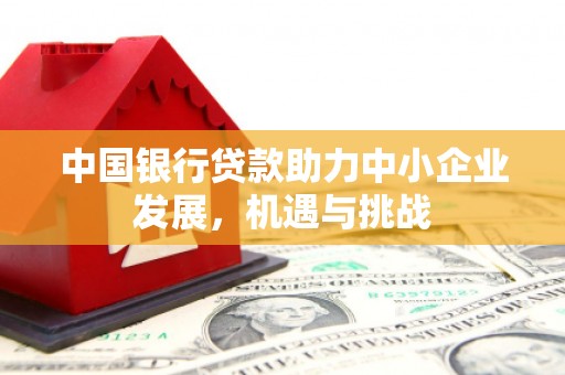 高要中国银行贷款助力中小企业发展，机遇与挑战