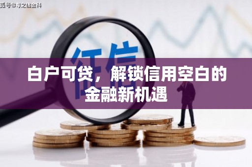高要白户可贷，解锁信用空白的金融新机遇