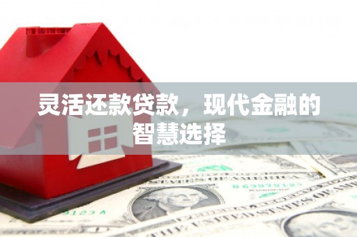高要灵活还款贷款，现代金融的智慧选择