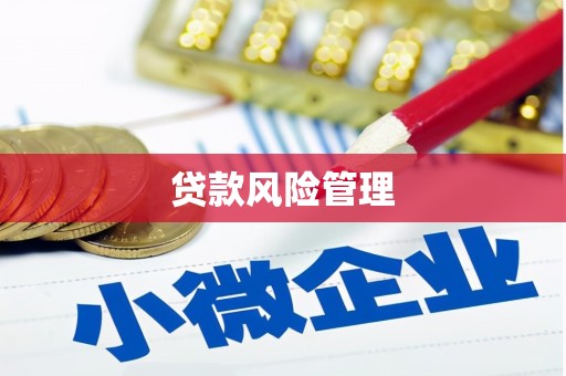 高要贷款风险管理