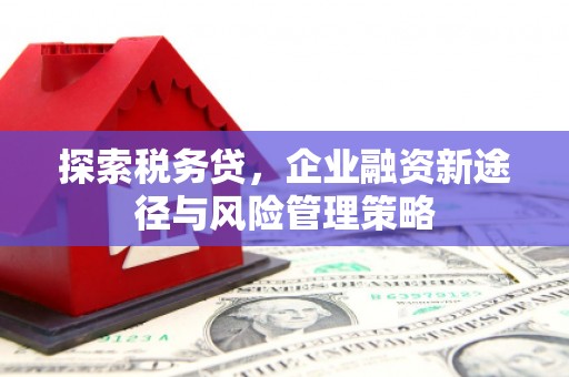 高要探索税务贷，企业融资新途径与风险管理策略