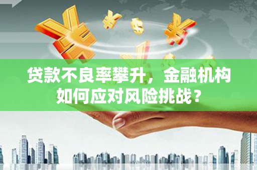 高要贷款不良率攀升，金融机构如何应对风险挑战？