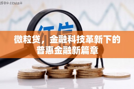 高要微粒贷，金融科技革新下的普惠金融新篇章