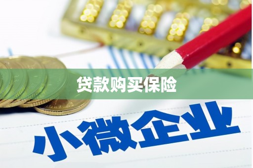 高要贷款购买保险